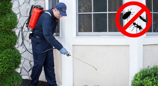 Saimbeyli Gümüşkurt İlaçlama böcek ilaçlama ve haşere kontrolü — ilaclama-tr.com